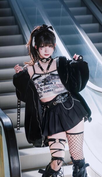 shiliuyelei
