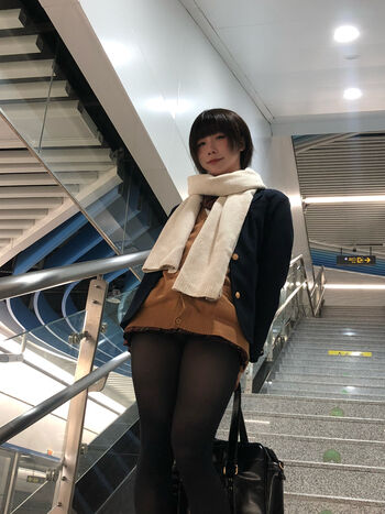 shiliuyelei