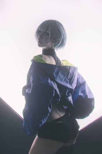 shiliuyelei