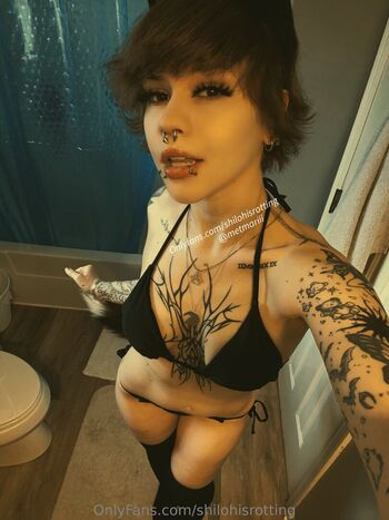 shilohisrotting