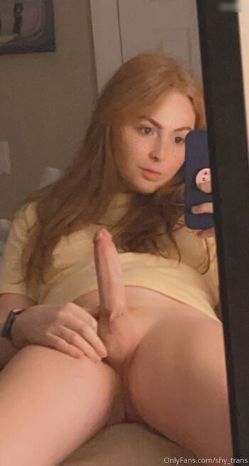 shy_trans