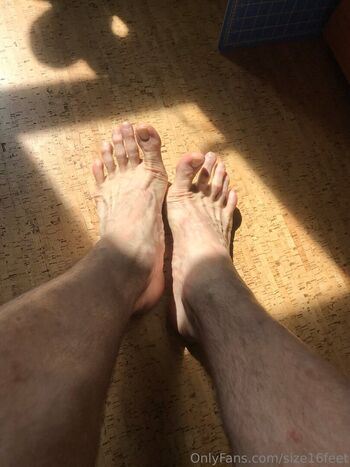 size16feet