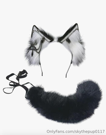 skythepup0117