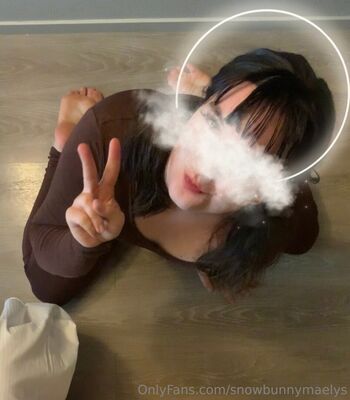 snowbunnymaelys