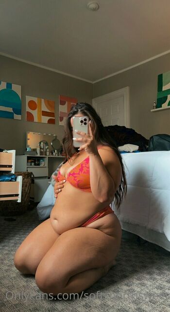 softshortnsweet