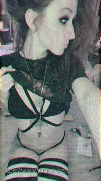 spunbunny