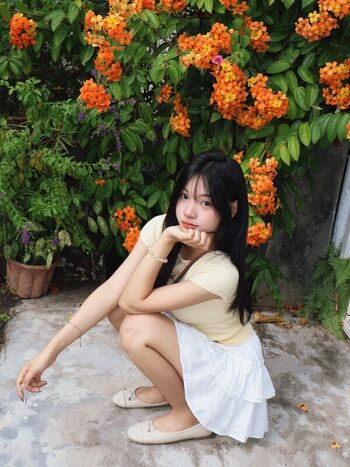 Sssxin_n