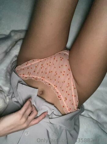 staasy_free