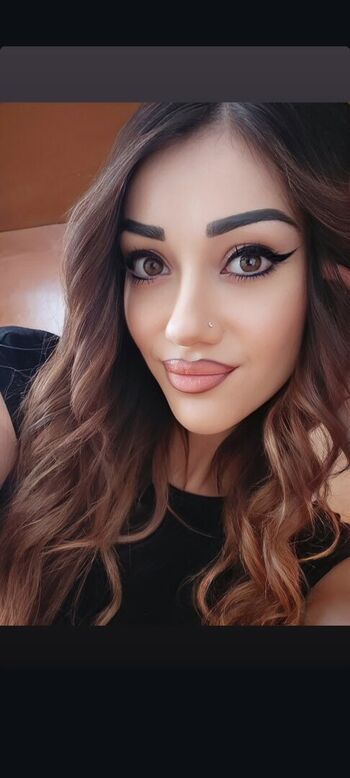 Stefytroy