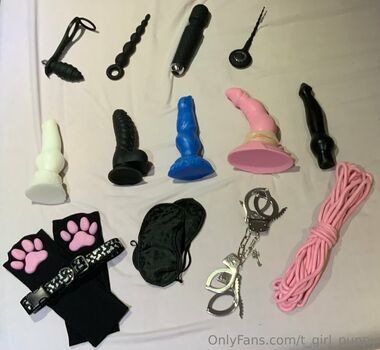 t_girl_puppy
