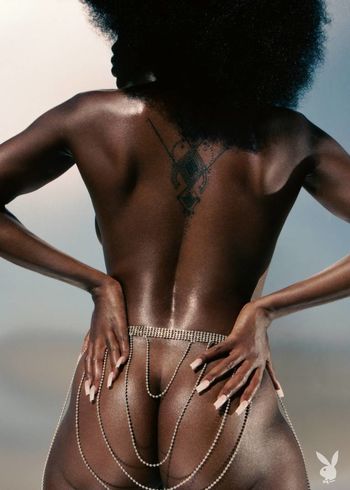 Tanerelle