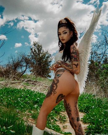 Taylor White