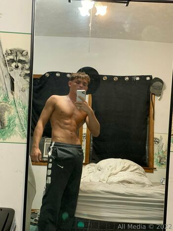 taylorsfree