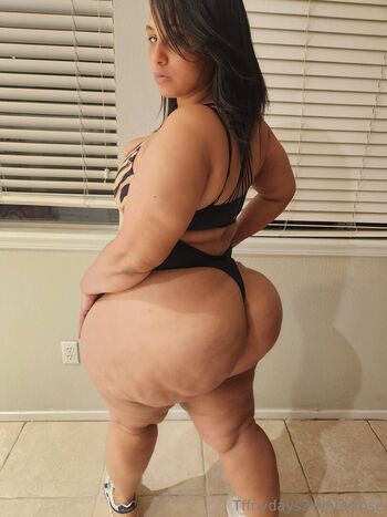 tffnydays2wintarrose