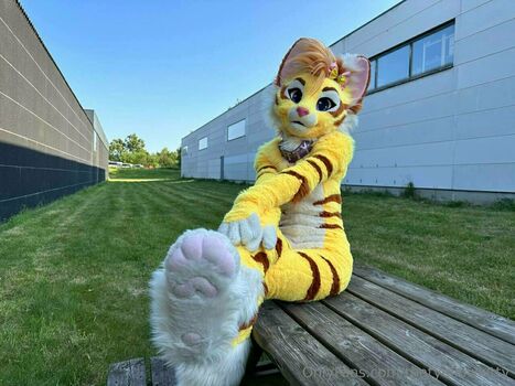 thatyellowkitty