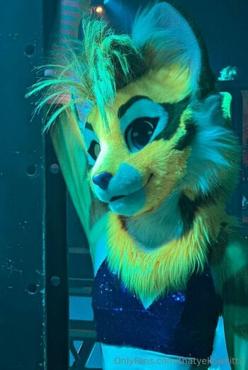 thatyellowkitty