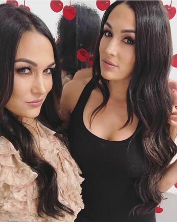 The Bella Twins