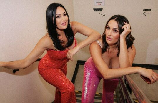The Bella Twins