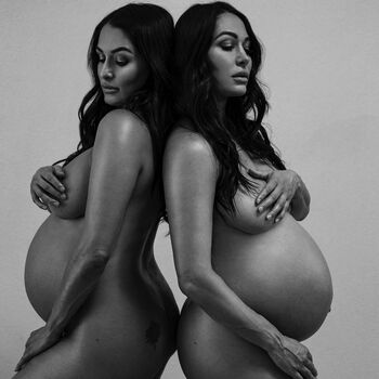 The Bella Twins