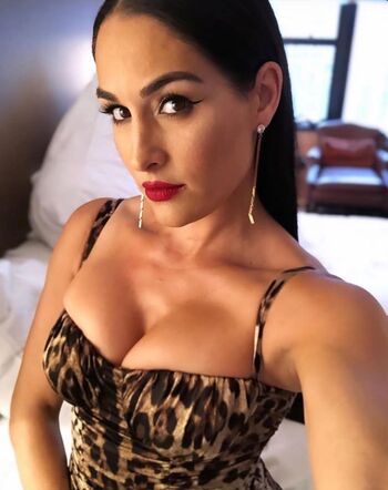 The Bella Twins