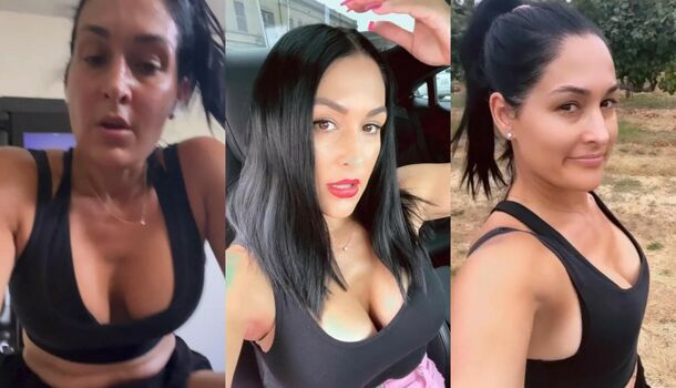 The Bella Twins