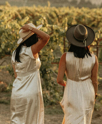 The Bella Twins