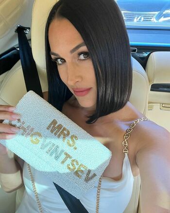 The Bella Twins