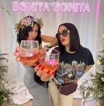 The Bella Twins