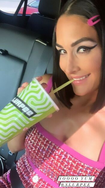 The Bella Twins