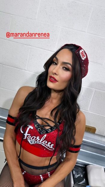 The Bella Twins
