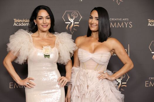 The Bella Twins