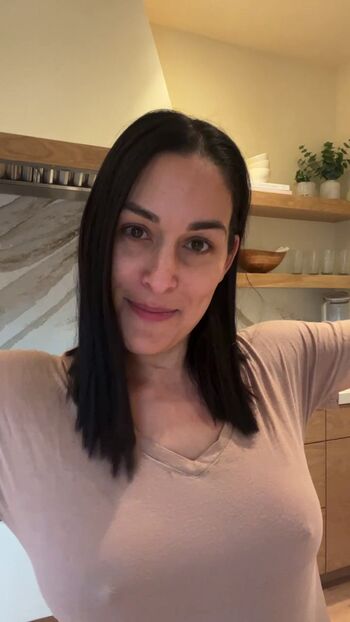 The Bella Twins
