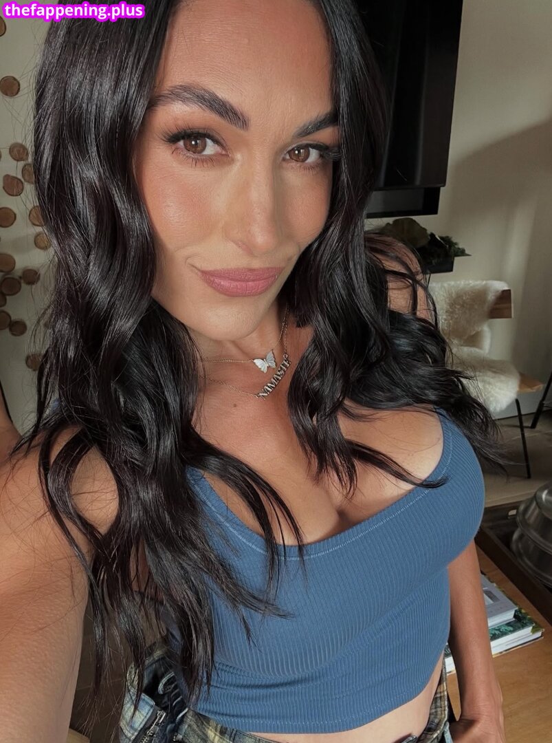 The Bella Twins