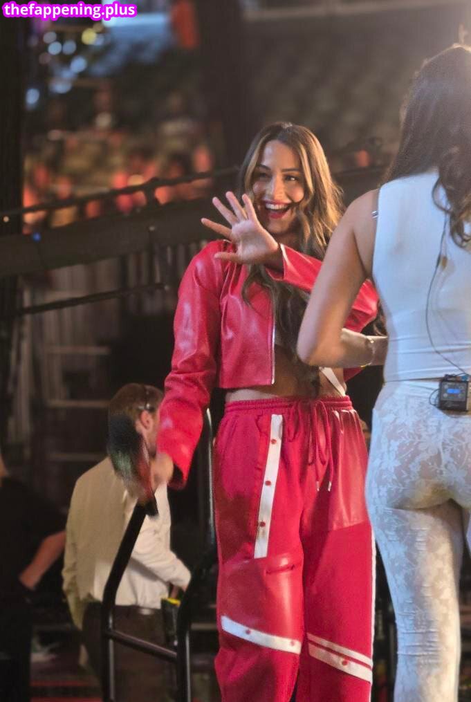 The Bella Twins