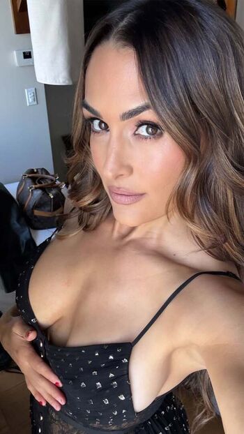 The Bella Twins