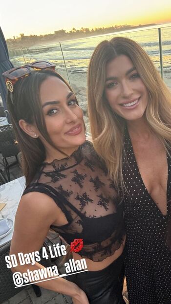 The Bella Twins