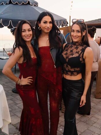 The Bella Twins