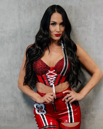 The Bella Twins