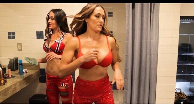 The Bella Twins