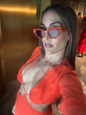 The Bella Twins