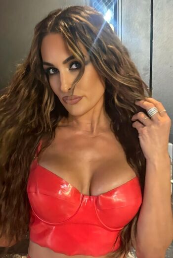 The Bella Twins