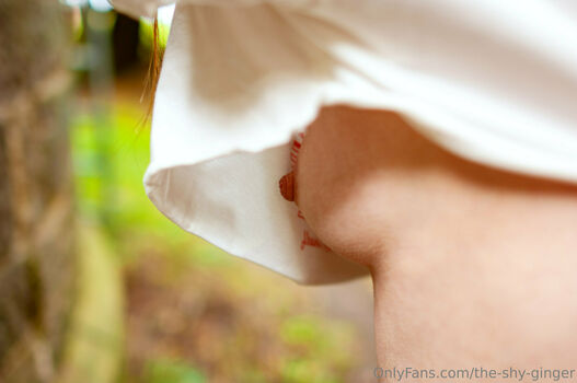 the-shy-ginger