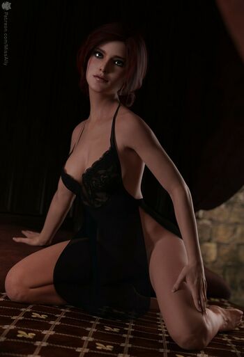 The Witcher