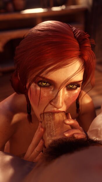 The Witcher