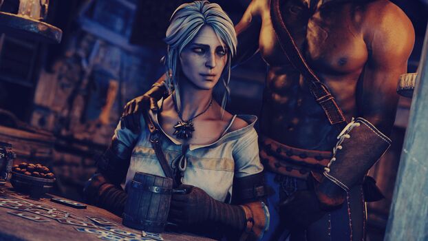 The Witcher