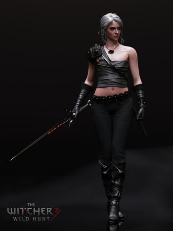 The Witcher