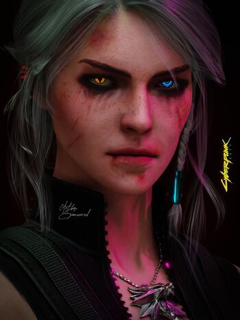 The Witcher