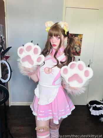 thecutestkittycat
