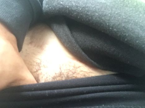 thedanavespoli