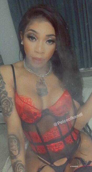TheDreamDoll
